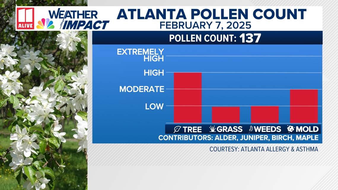 Pollen count in atlanta 11alive