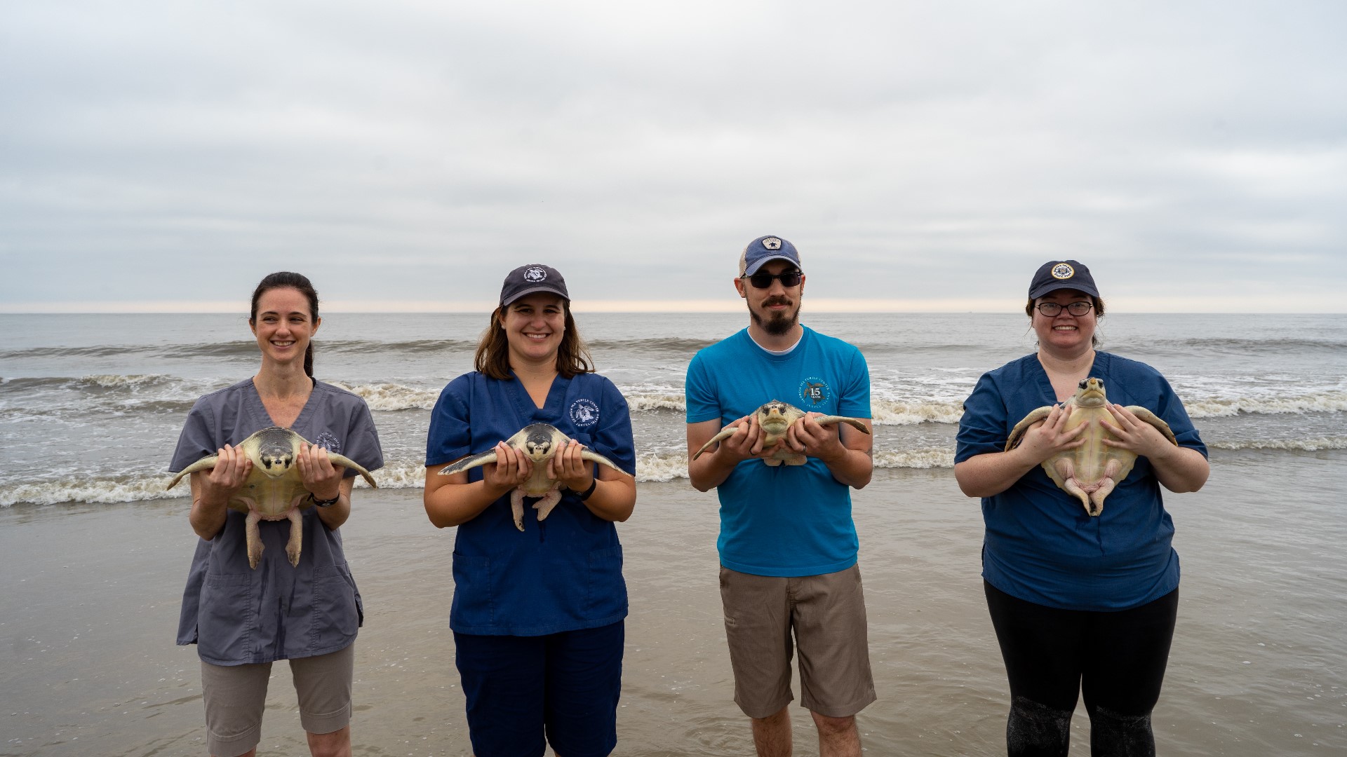 Sea turtle rescue release at Jekyll Island, Georgia | Photos | 11alive.com