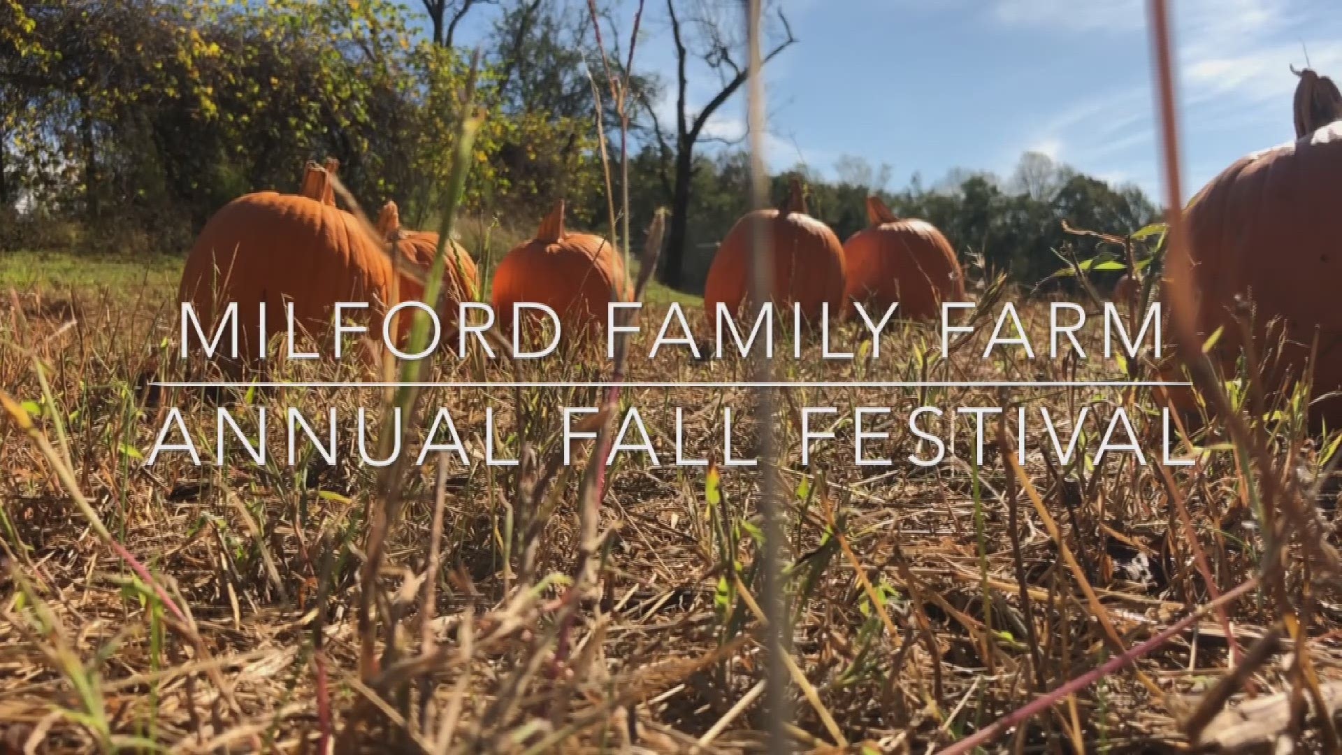 Video of Fall Festival at Milford Family Farm