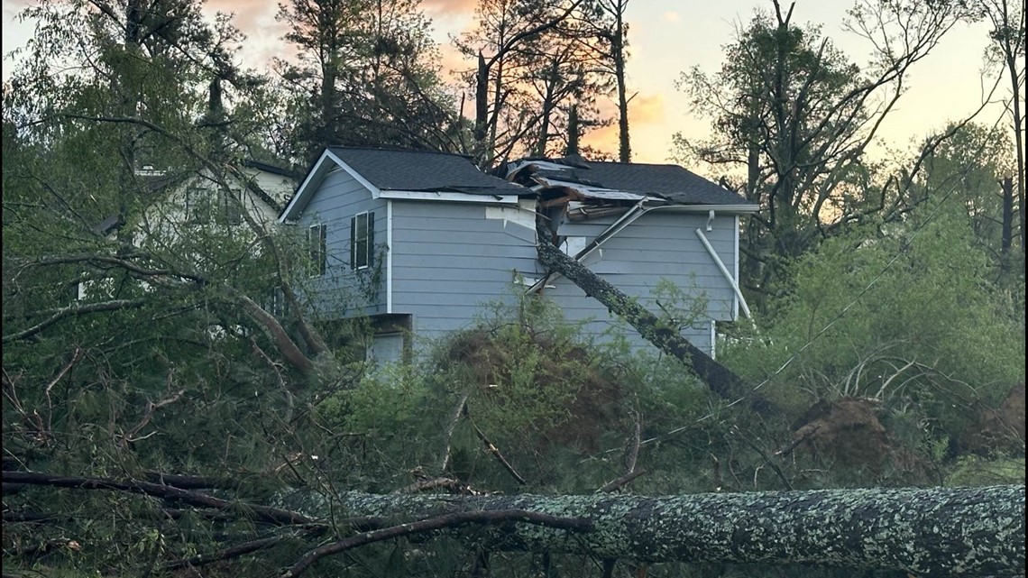 Here's who is responsible for paying for storm damage from fallen trees