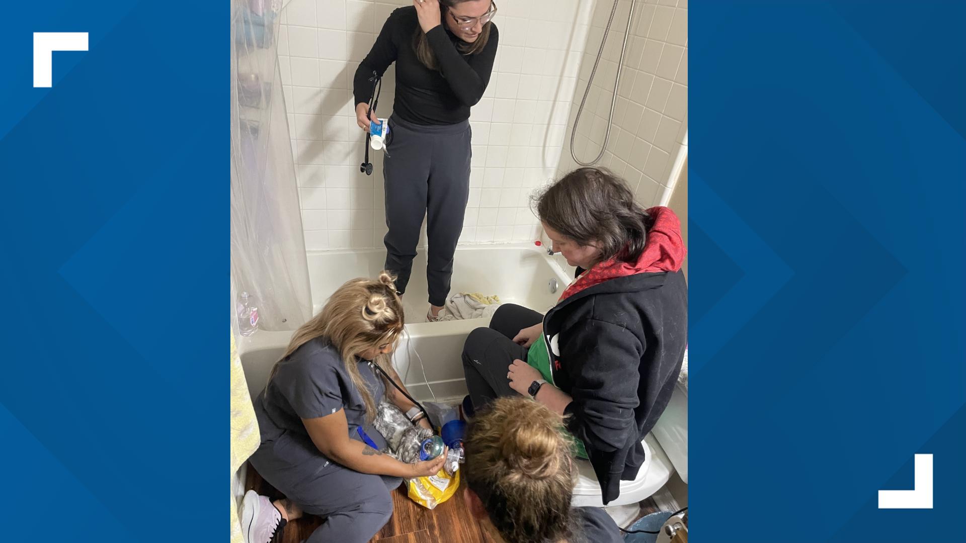 Firefighters rescue puppy in Roswell | 11alive.com