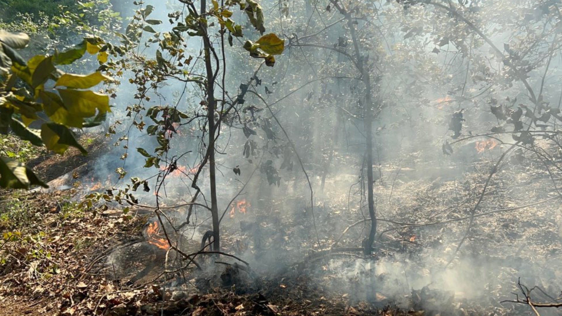 Roswell Mill brush fire near Vickery Creek Trail | 11alive.com