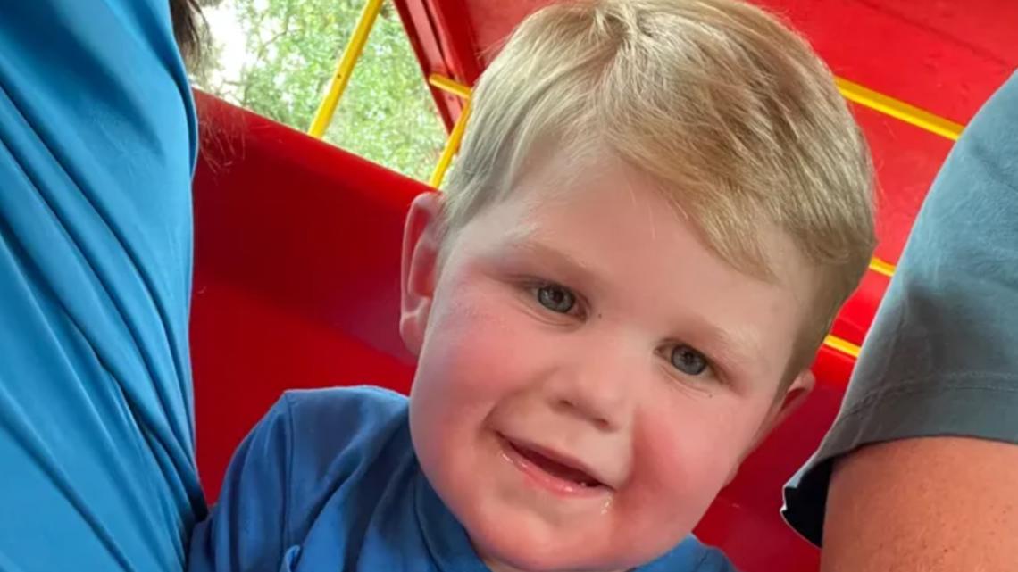 Neighborhood rallies for Georgia toddler stung 150 occasions by yellow jackets