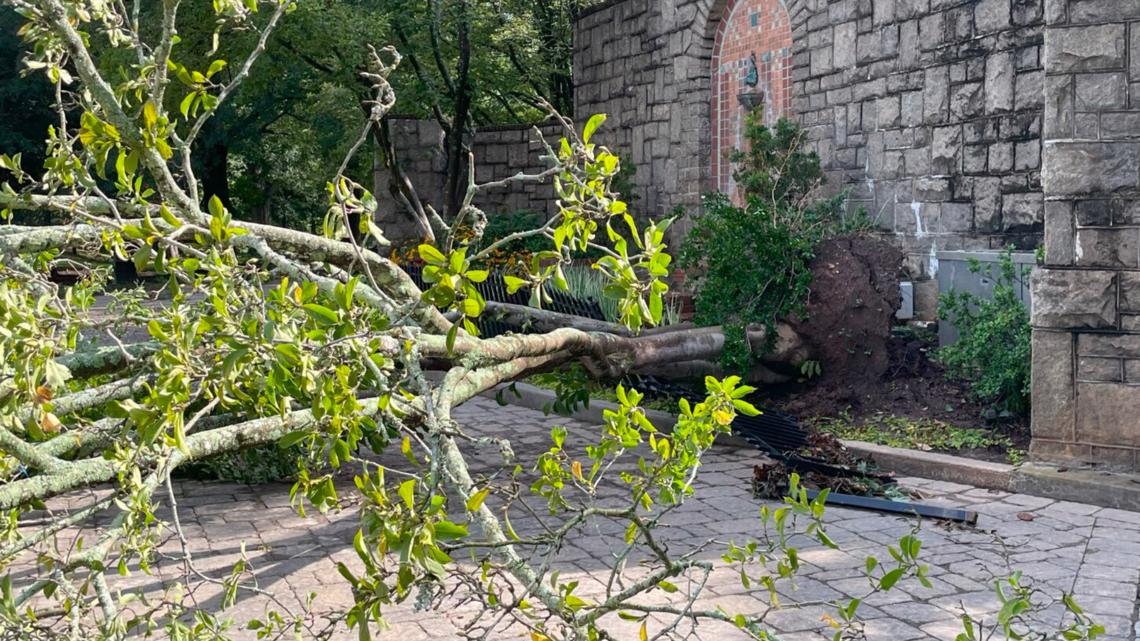 Nonprofit seeks donations to restore historic Atlanta park - Vimarsana News