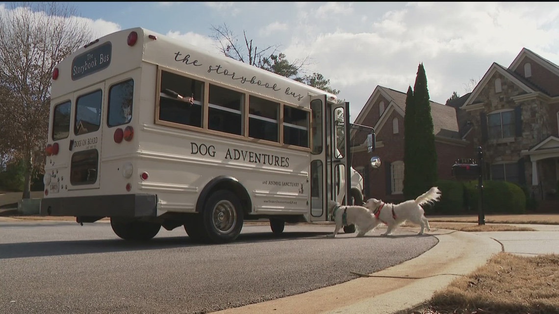 The Storybook Dog Bus turns heads, helps rescue dogs find fur-ever ...