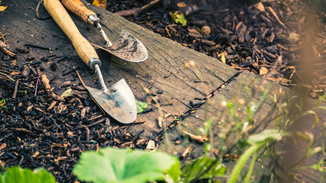 When to plant garden Atlanta spring conditions - Vimarsana News