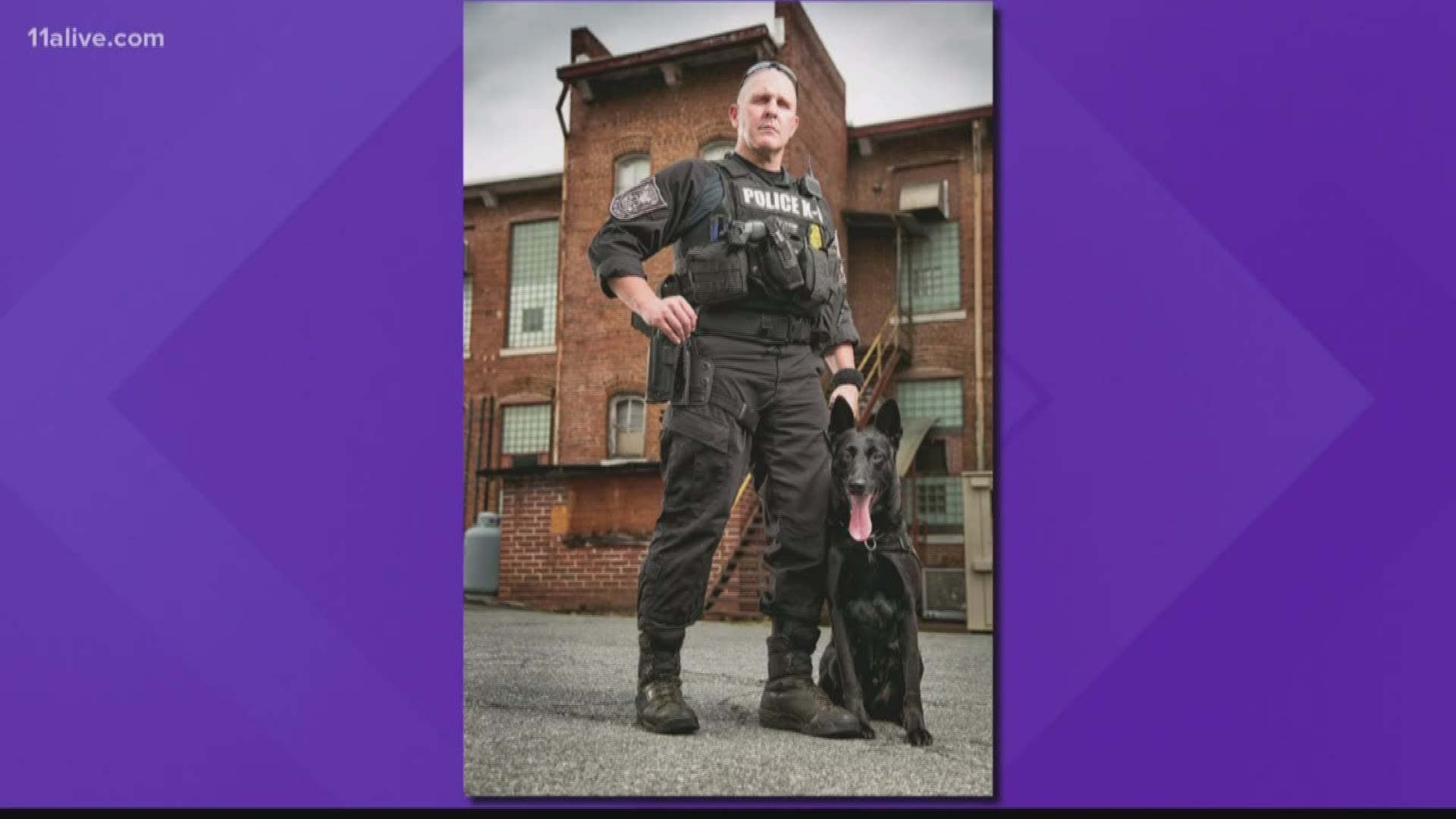 The police K9 was shot while pursuing a suspect.