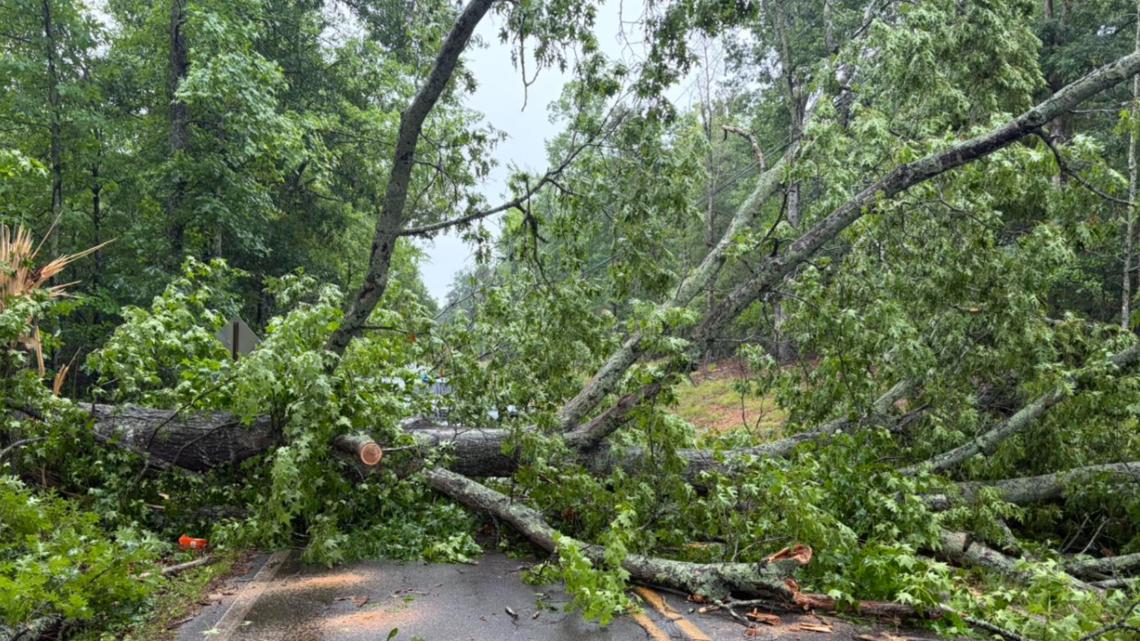 Trees down, roughly 2,000 without power in Troup County after strong storms roll through