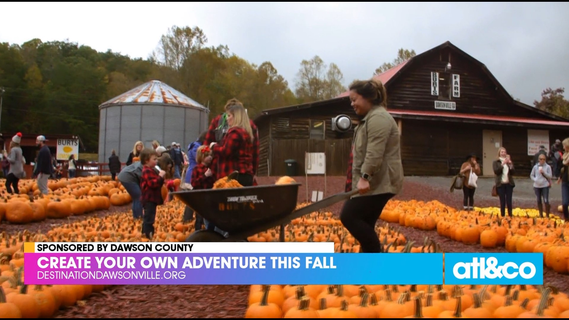 Create your own adventure in Dawson County this fall! First stop, Burt's Pumpkin Farm. Learn more at DestinationDawsonville.org | Paid Content