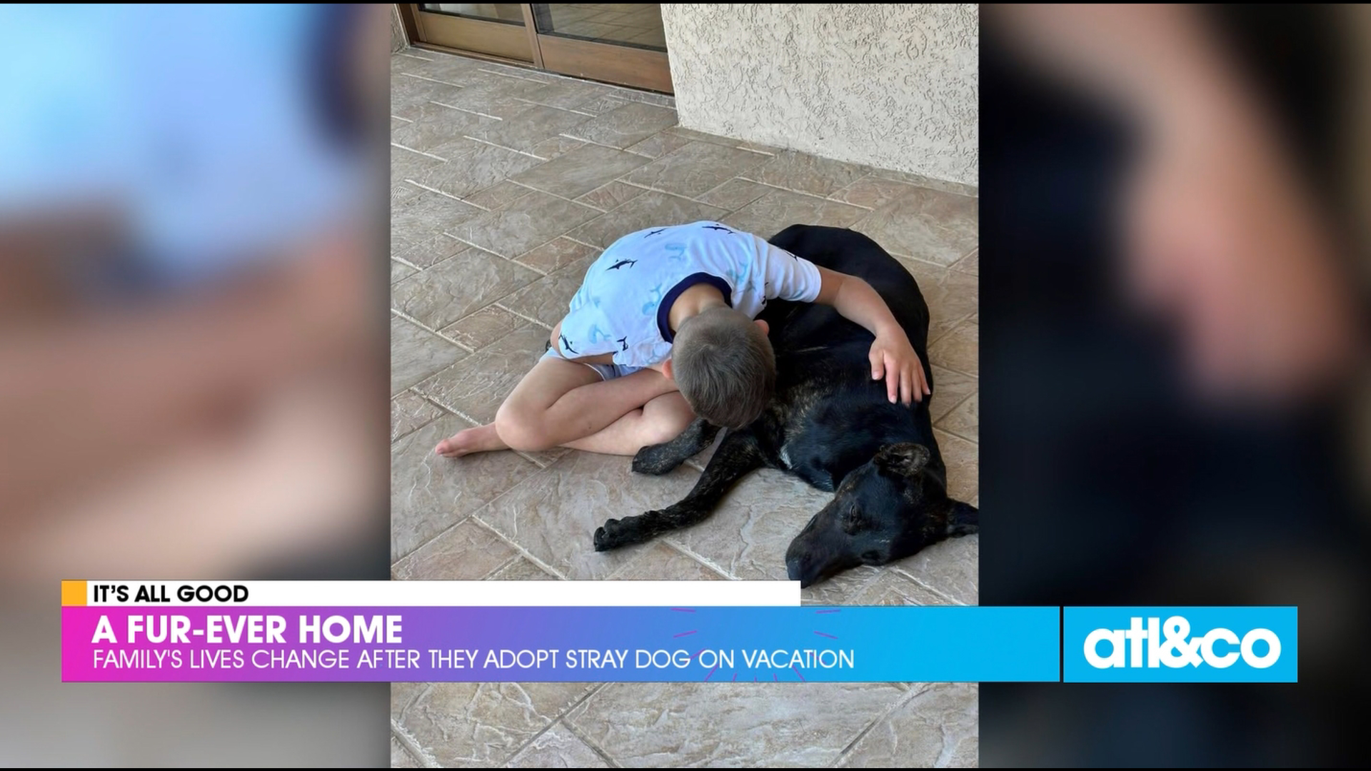 A family on vacation in Aruba found a loving stray dog they just had to take home to Kentucky!