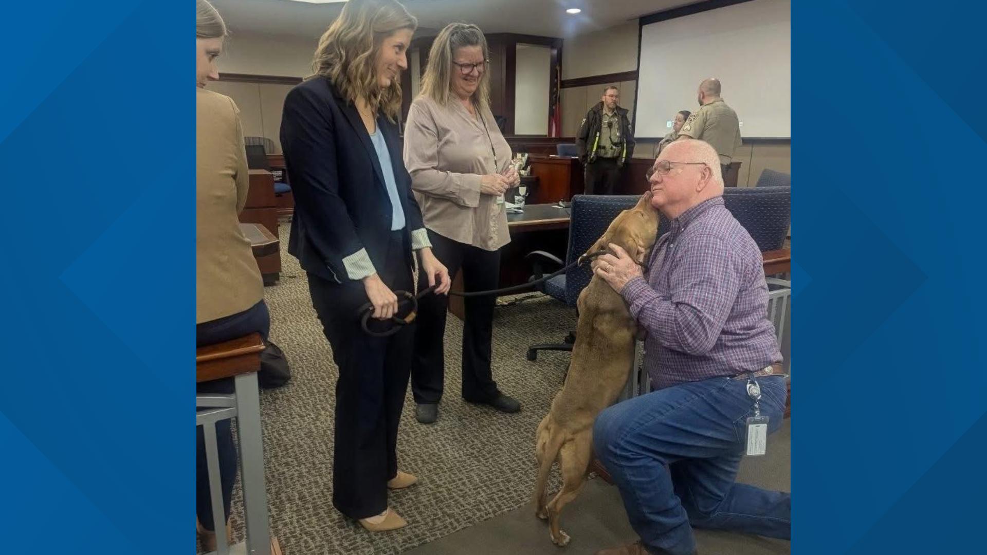 Paulding County dog fighting case | Man sentenced to 475 years ...