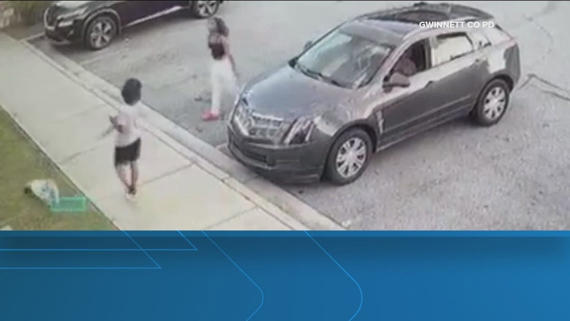 Gwinnett Police are asking for help identifying two people they say stole a dog.