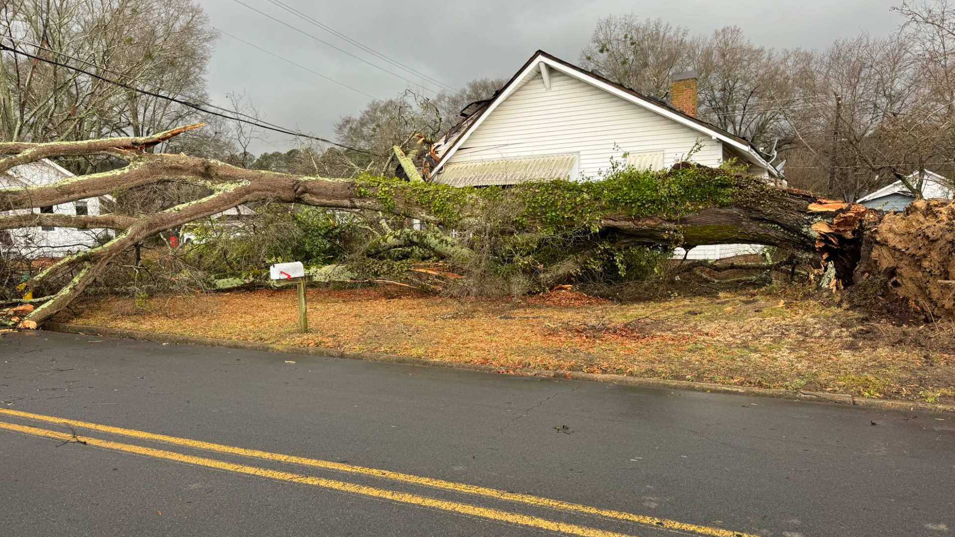 Floyd County damage | Tree splits, falls on two homes | 11alive.com