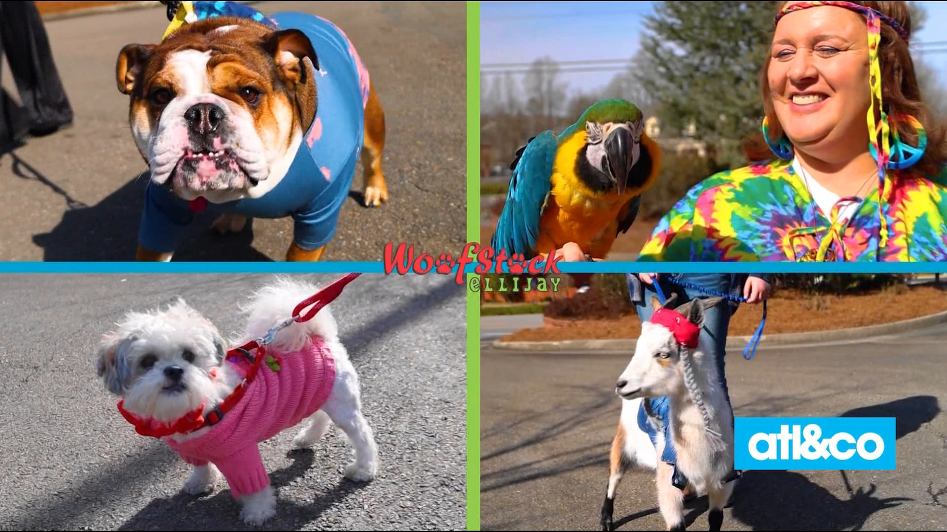 Preview pet-friendly event Woofstock in Ellijay on April 15 and all the outdoor fun that the great getaway town has to offer!