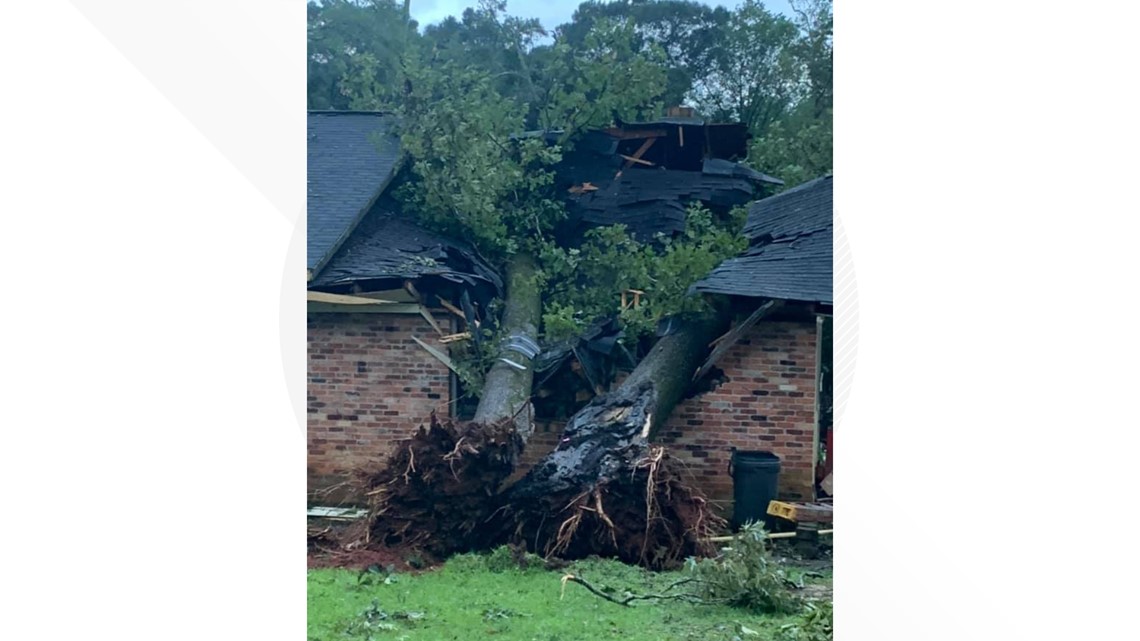 Photos: Downed trees, power lines and flooding | Heavy rain, severe ...