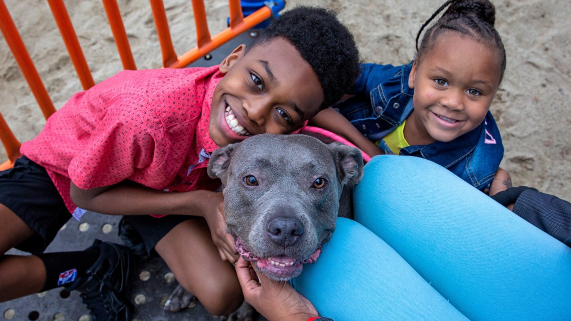 Free big dog adoptions with Best Friends Animal Society Info