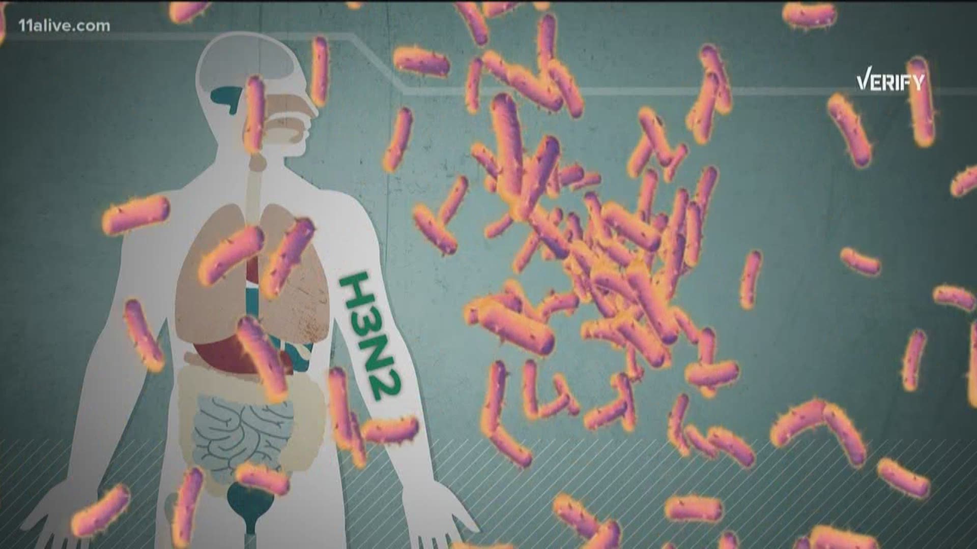 Verify can you get the flu twice in one season 11alive