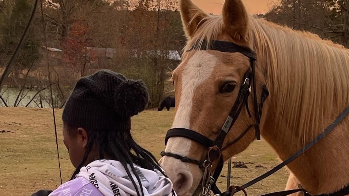 Nonprofit therapy horse shot and killed in South Fulton - Vimarsana News