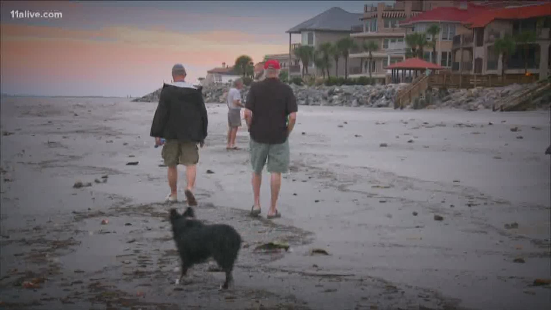 Residents on the Georgia coast managed to largely escape damage.