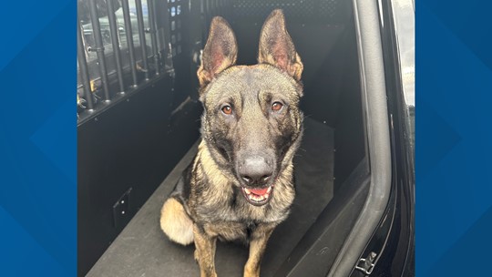 Kennesaw State University Police welcomes K-9 officer Joker | 11alive.com