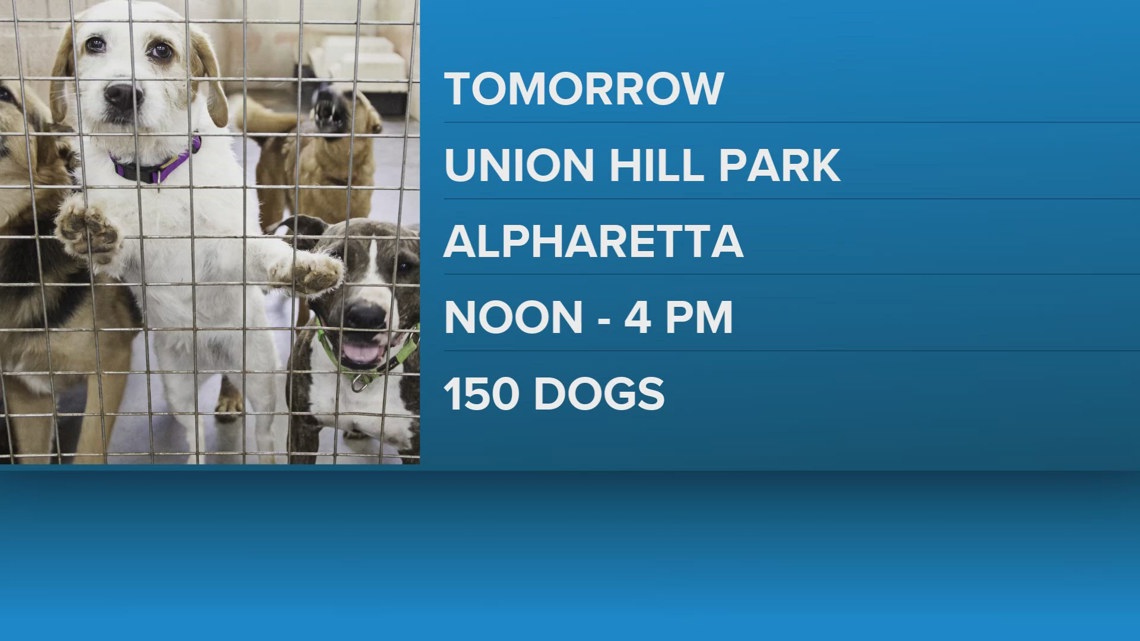 Atlanta animal rescue to host big adoption event | 11alive.com