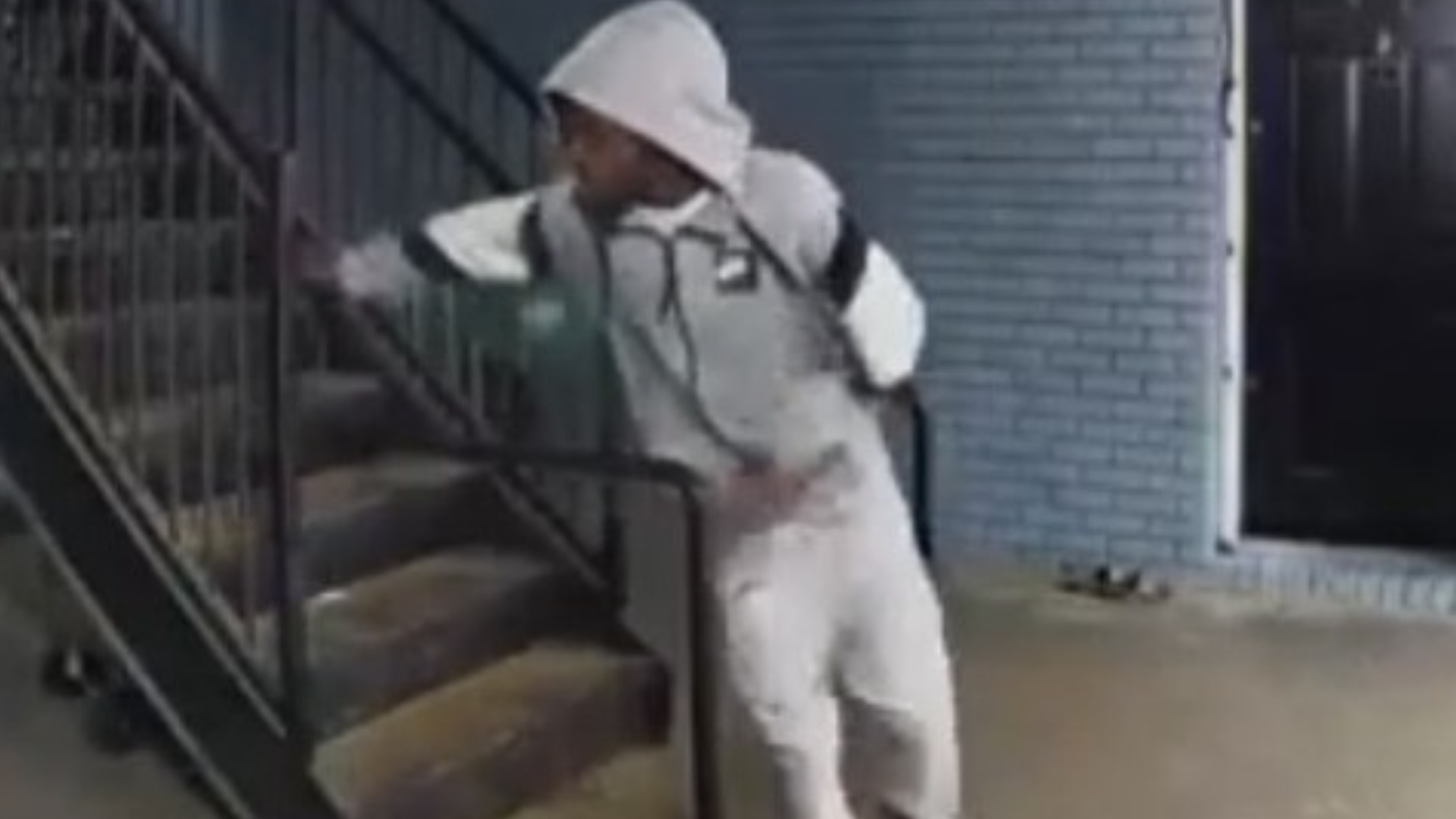 Police look for man accused of abusing dog in DeKalb County | 11alive.com