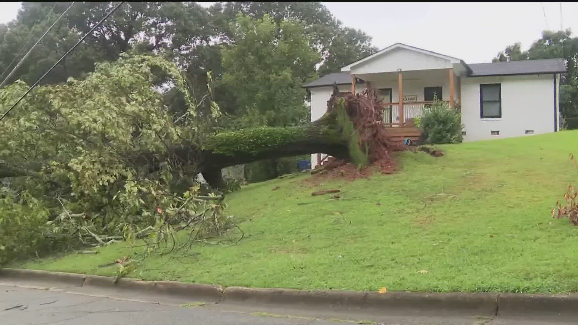 There's heavy rain, flooding and wind gusts in the forecast this week. There's also a risk of trees coming down.