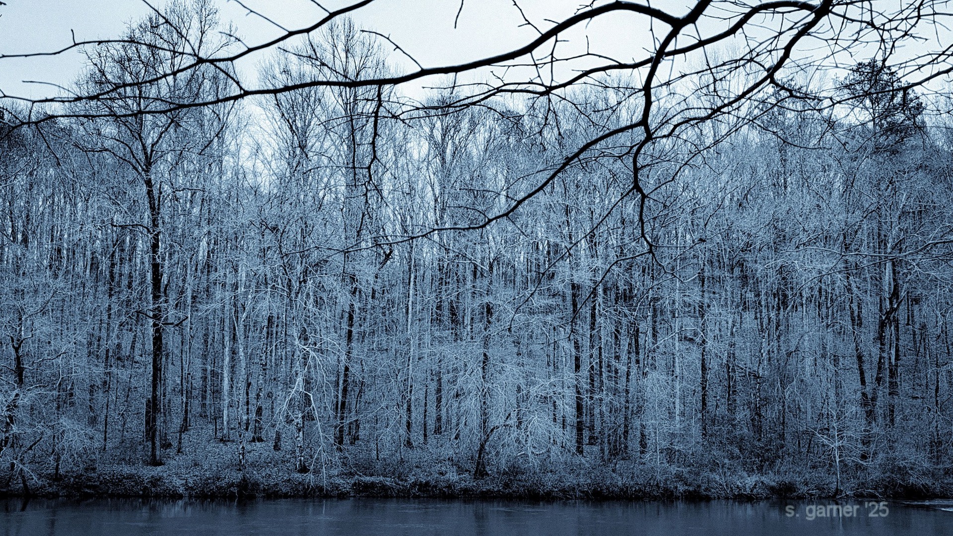 Photos of snow in Atlanta: Jan. 21, 2025 | 11alive.com