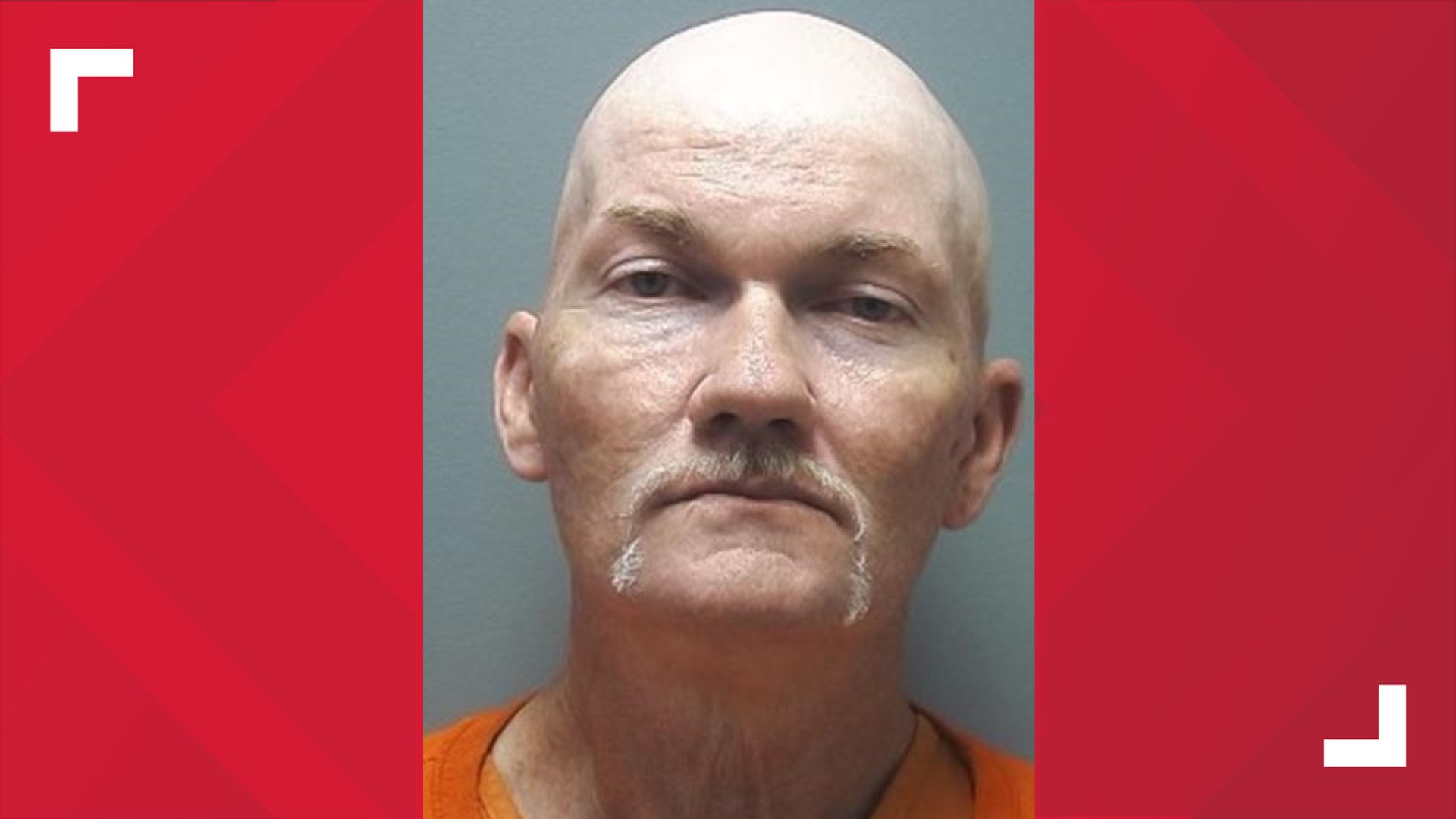 Dog fighting in Canton, Man sentenced