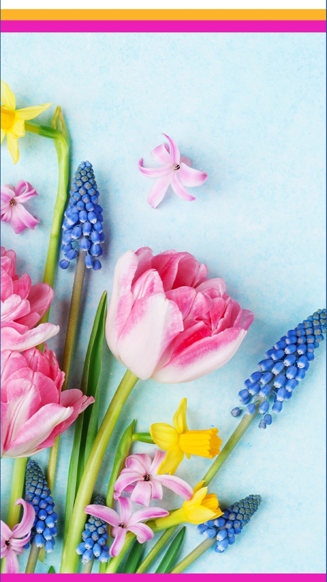 Must-Haves For Springtime Fun | 11alive.com