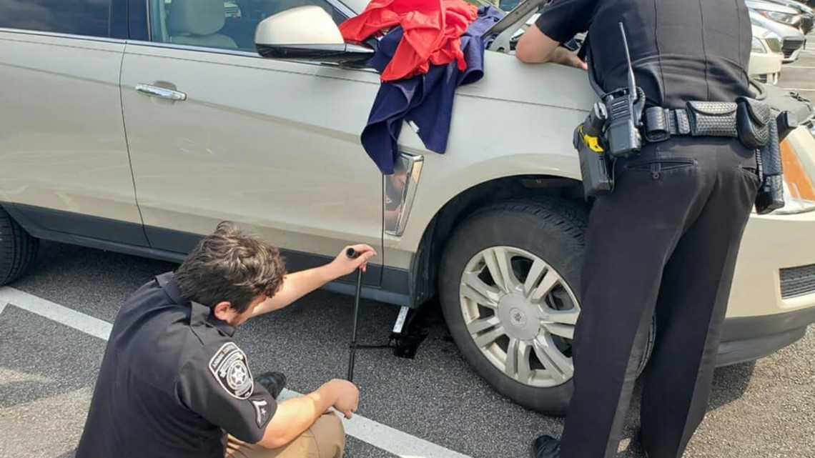 Officer Saves Kitten From Jeep Engine, Then Another Adopts Her