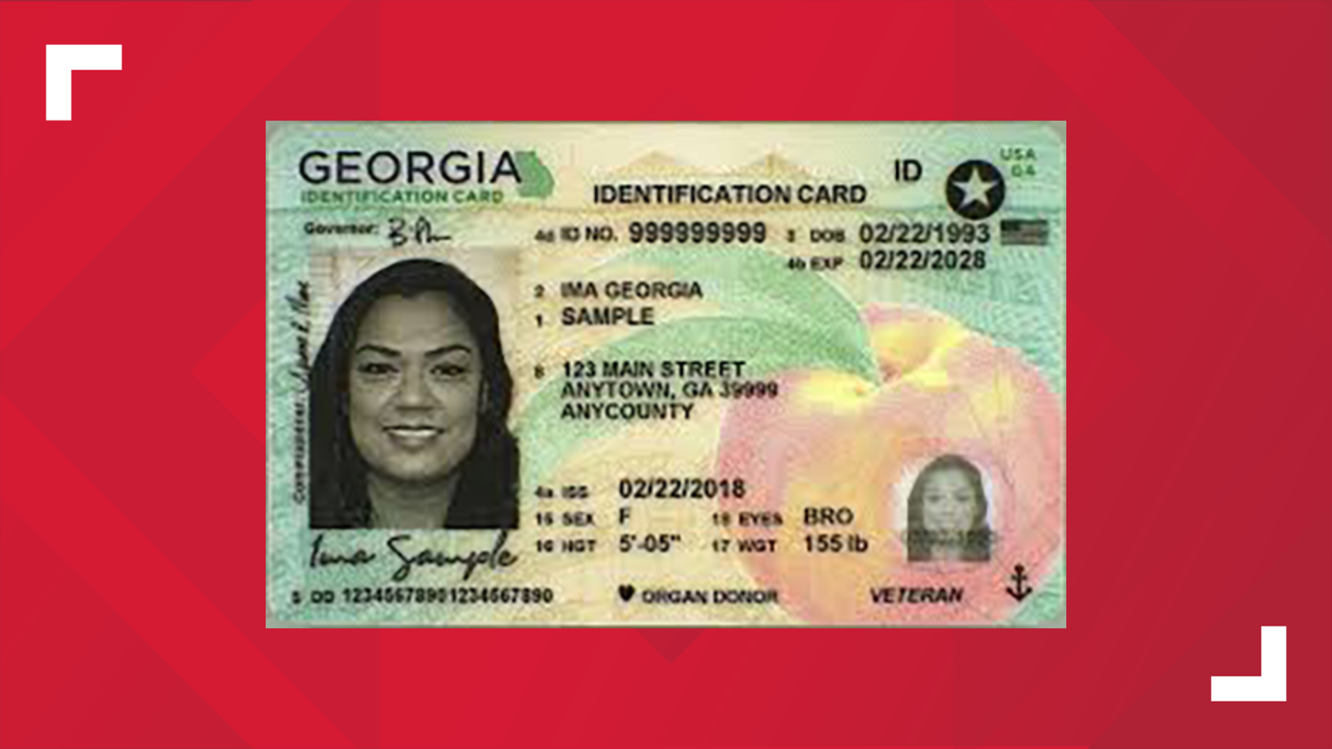 Georgia Id Card Template Mightyprintingdeals