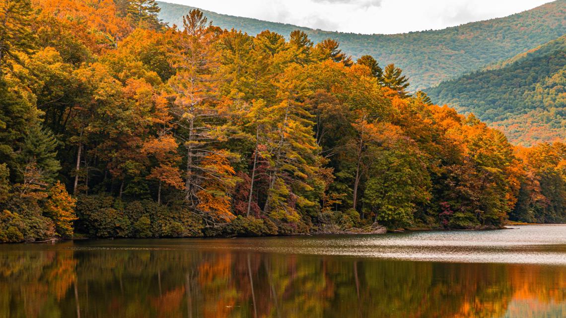 Here's when leaves change in north Georgia | 11alive.com