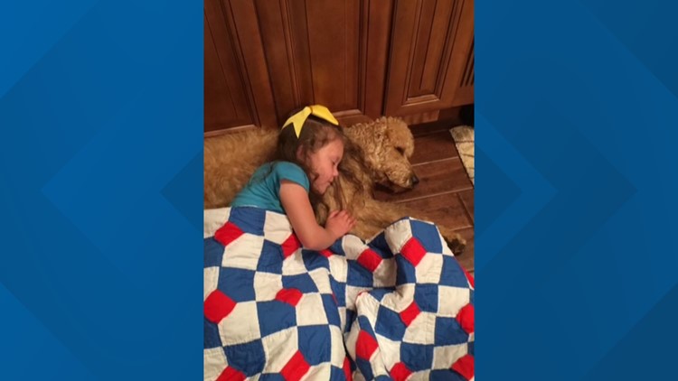 Furry friend lift spirits of girl with rare genetic disorder