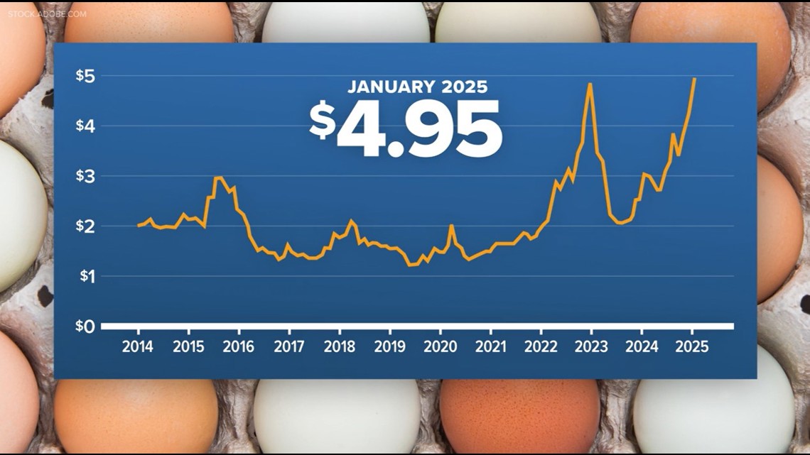 Egg prices hit record high | Here's what's needed to bring prices back ...