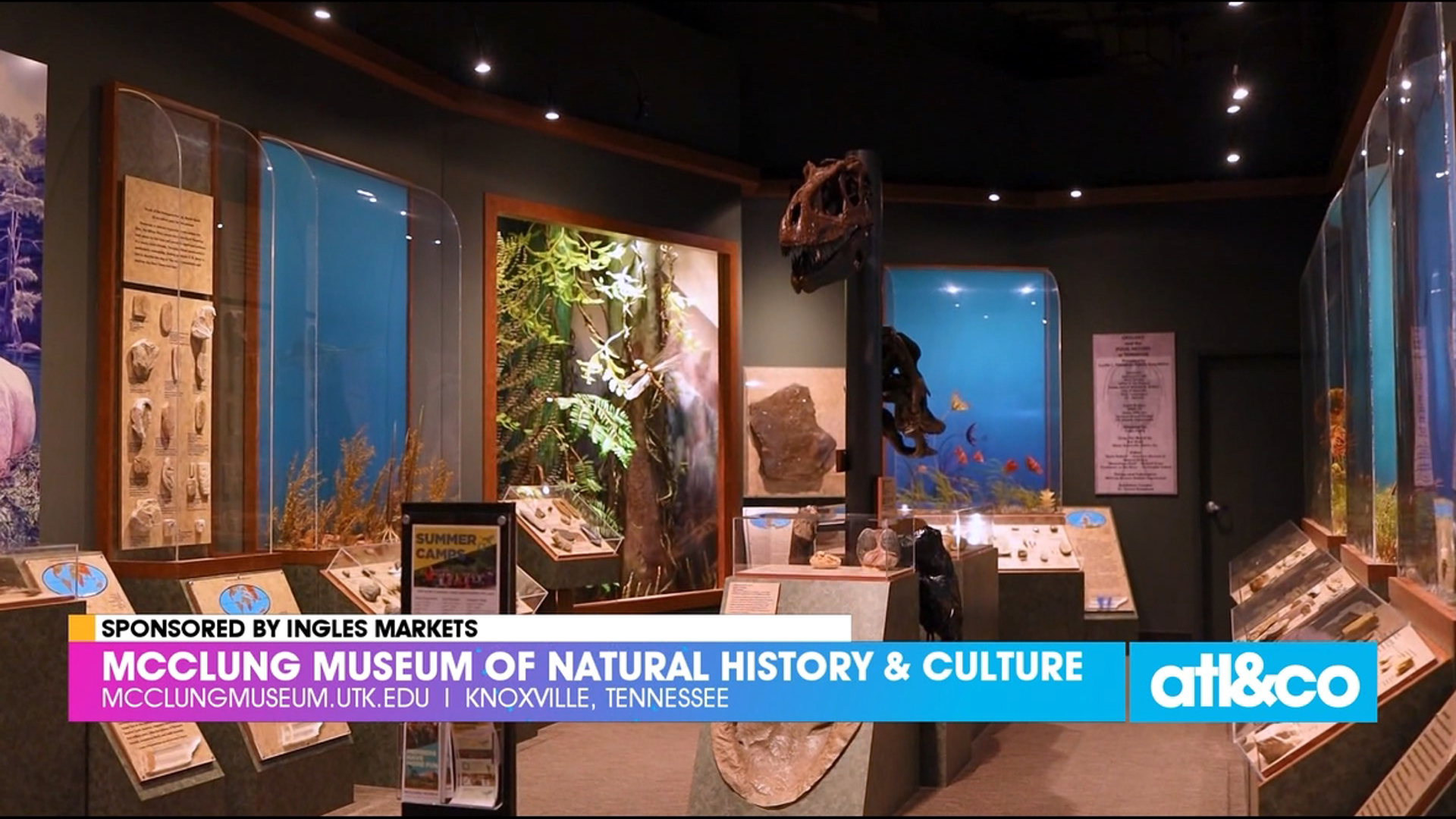 A transformative experience! Explore the McClung Museum of Natural History & Culture at the University of Tennessee Knoxville with Ingles Markets.