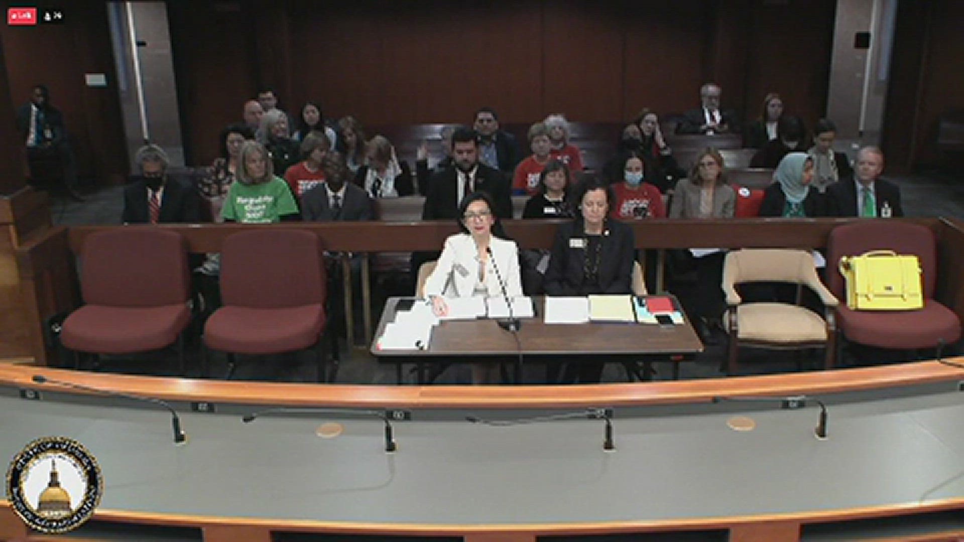 State Rep. Michelle Au presented HB 161 to a Georgia House subcommittee Thursday morning.