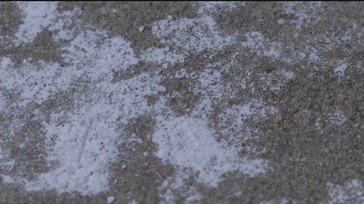 Dog owner who noticed white powder found on Atlanta BeltLine said she worked to avoid it
