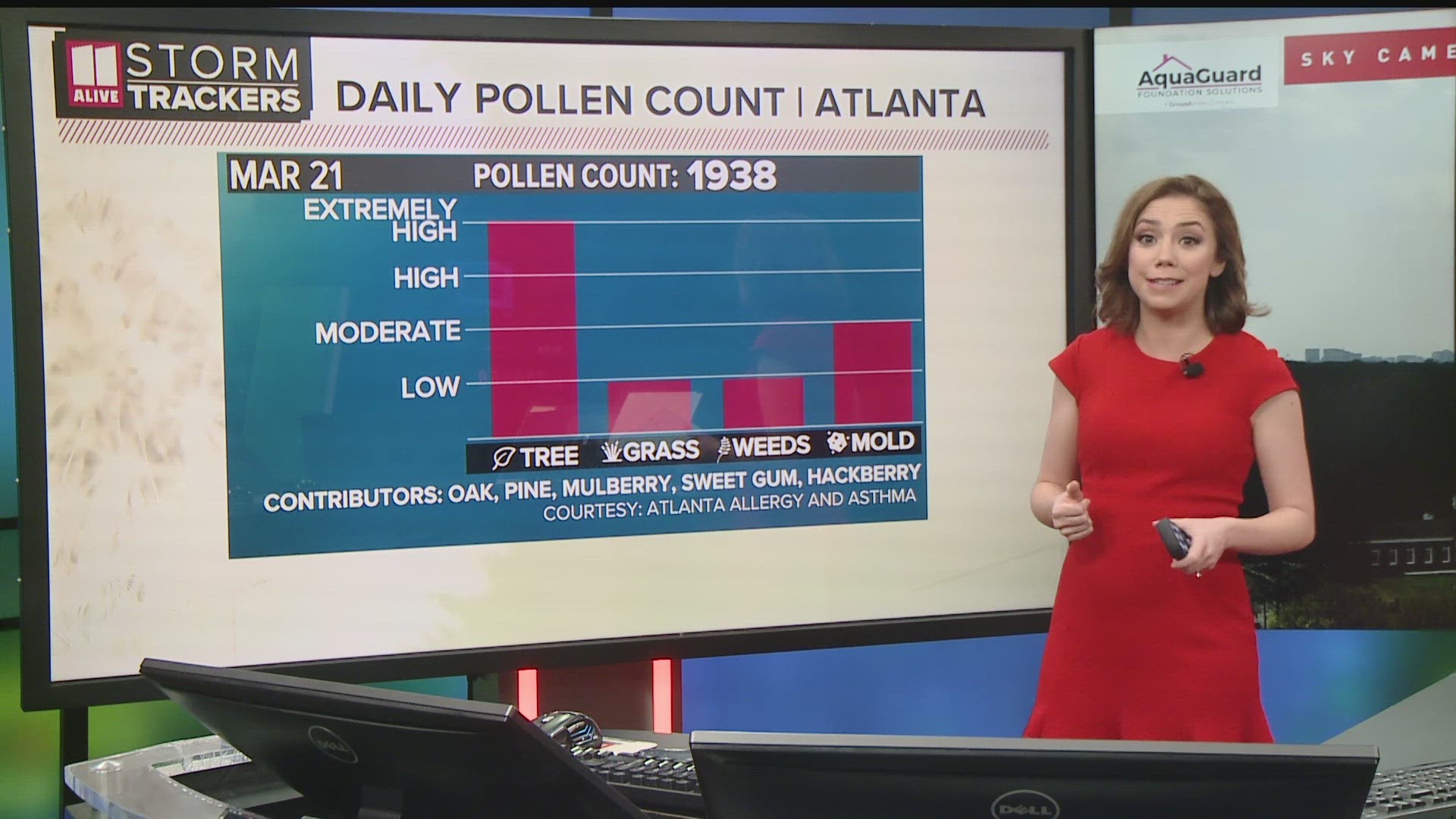 Oak, Pine, Mulberry, Sweet Gum, and Hackberry are the main tree pollen contributors