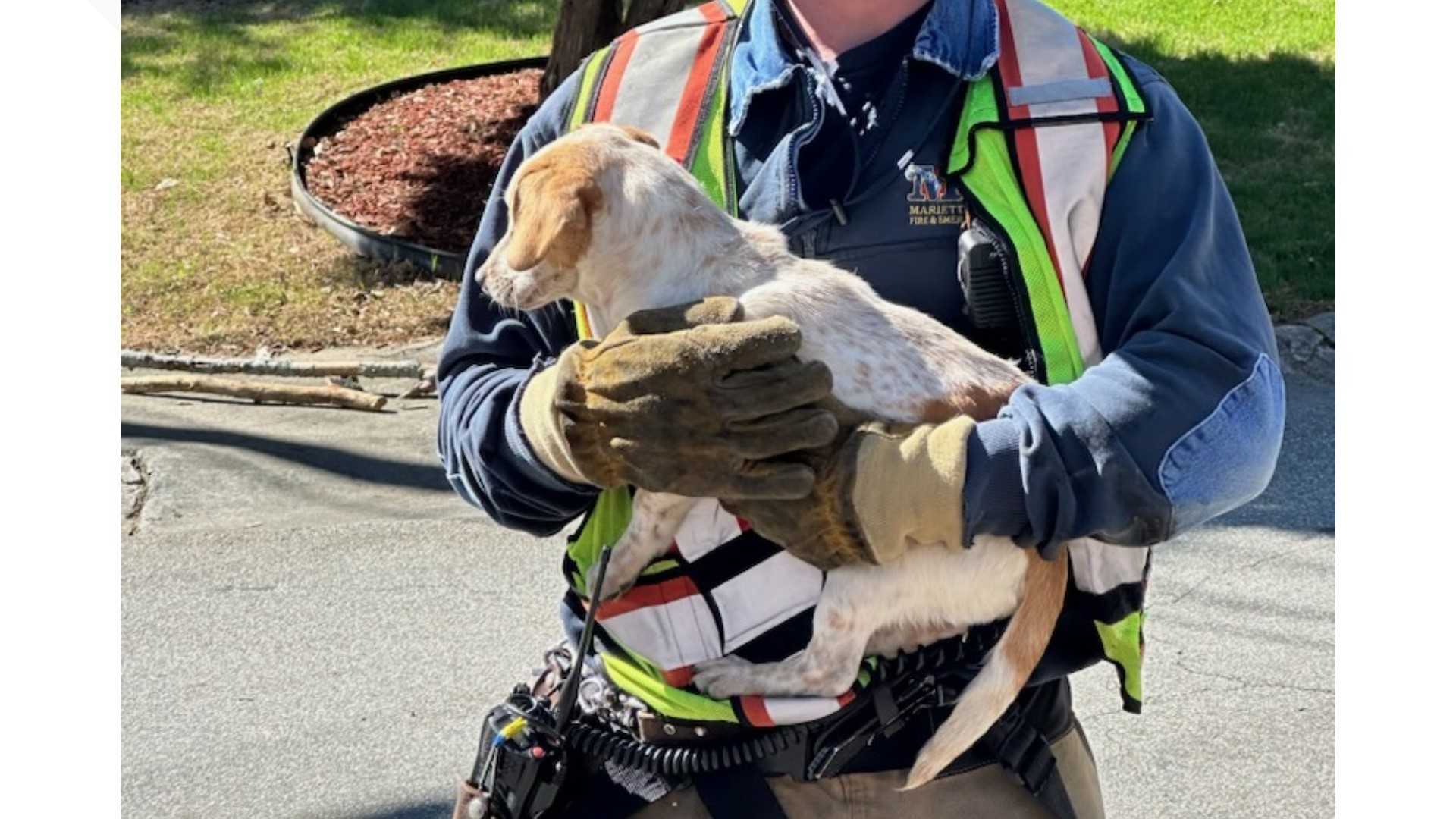 Marietta firefighters rescue dog trapped car engine