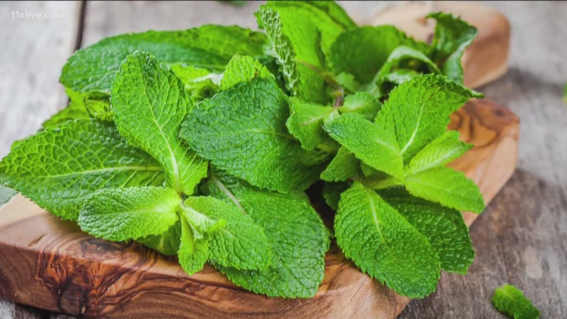 Your Thanksgiving meal is gone, and here's why mint might help with that lingering nausea.