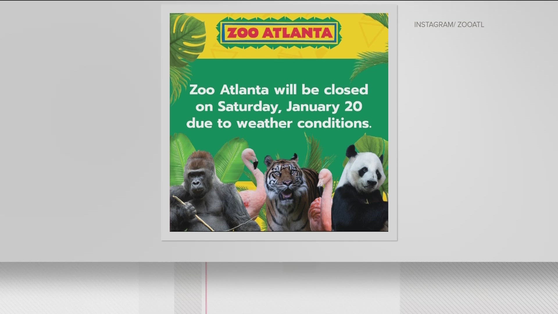 Officials say animal care won't be impacted, but the zoo will remain closed to visitors.