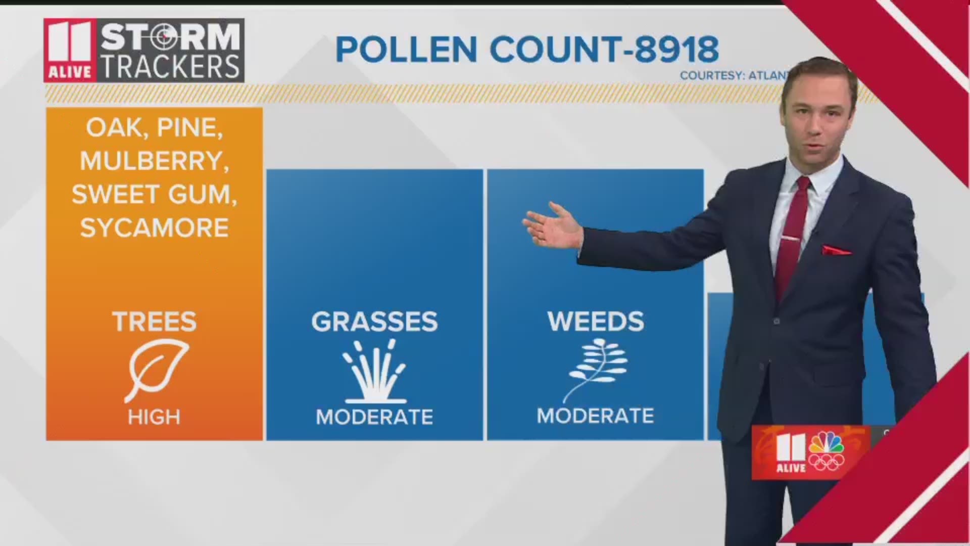 Pollen count rises after rain | wltx.com