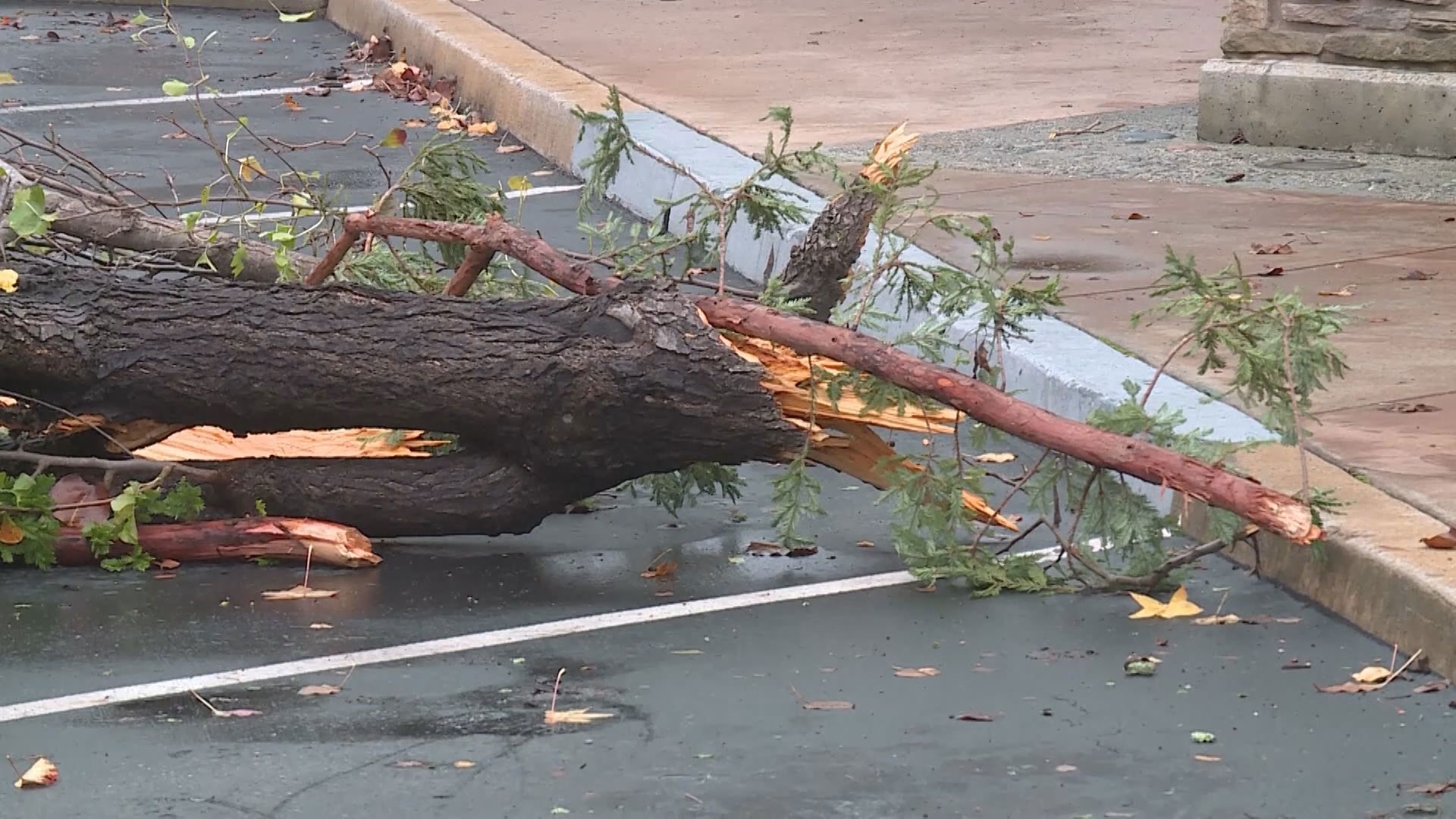 Video shows damage after a tornado touched in Scotts Valley, California on Saturday. Video via NBC Newschannel