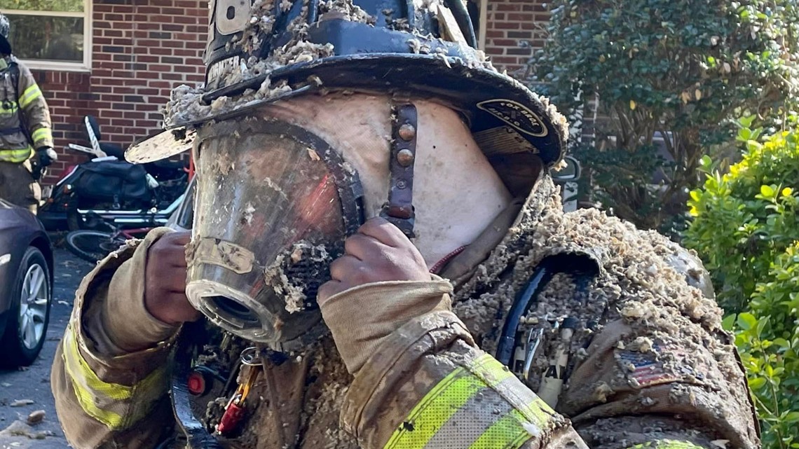 Photos DeKalb County firefighters save cat from house fire