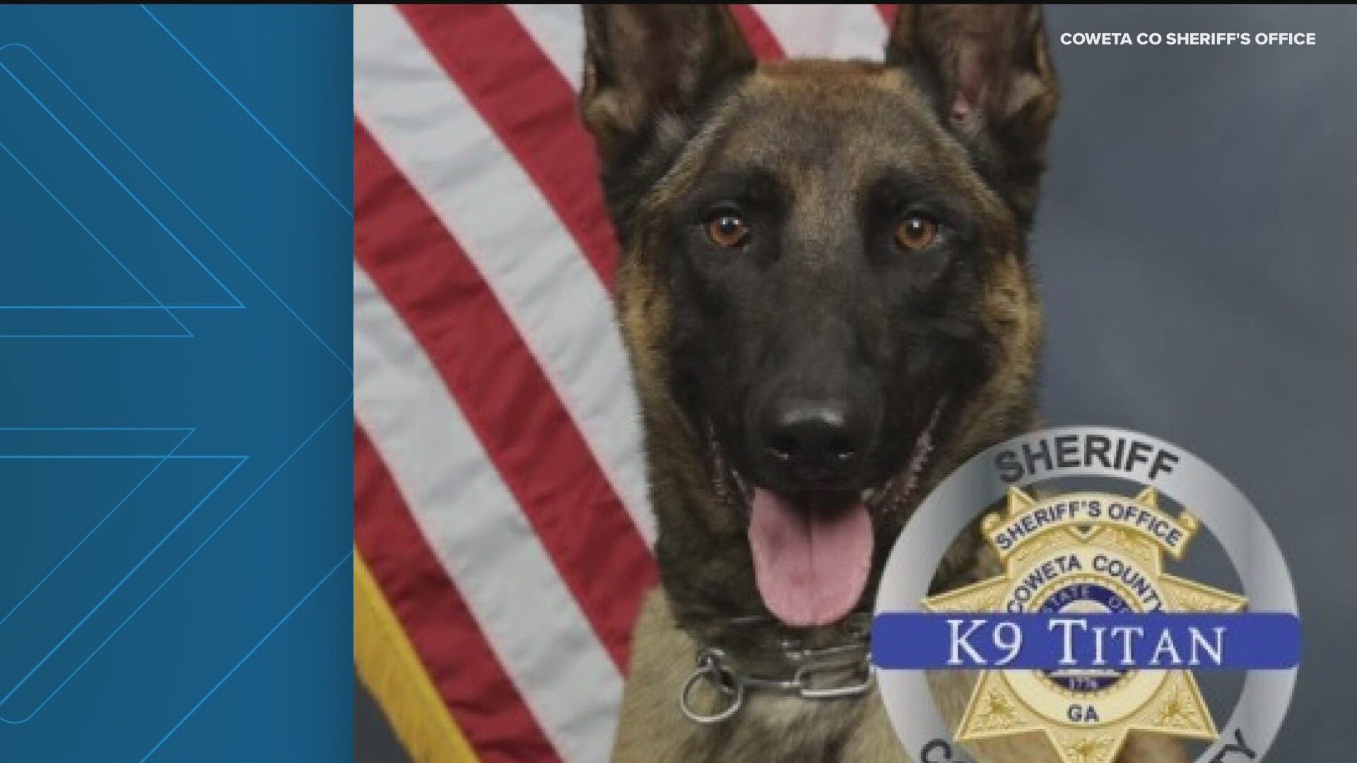 K9 Titan and the suspect died, and a deputy was hurt after they were involved in a late-night high-speed chase on Wednesday.