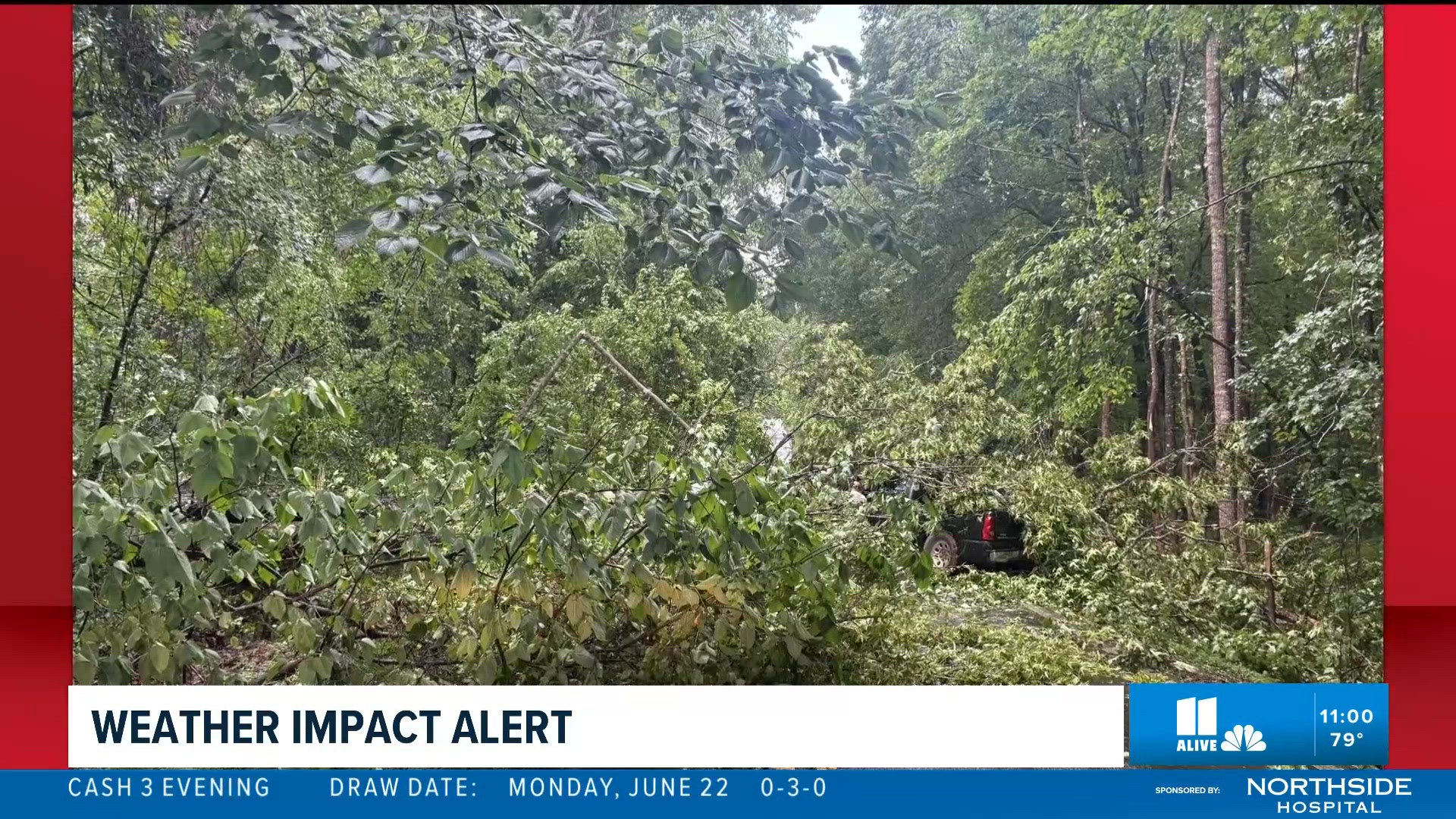 Georgia man crashes into fallen trees during severe storms | 11alive.com