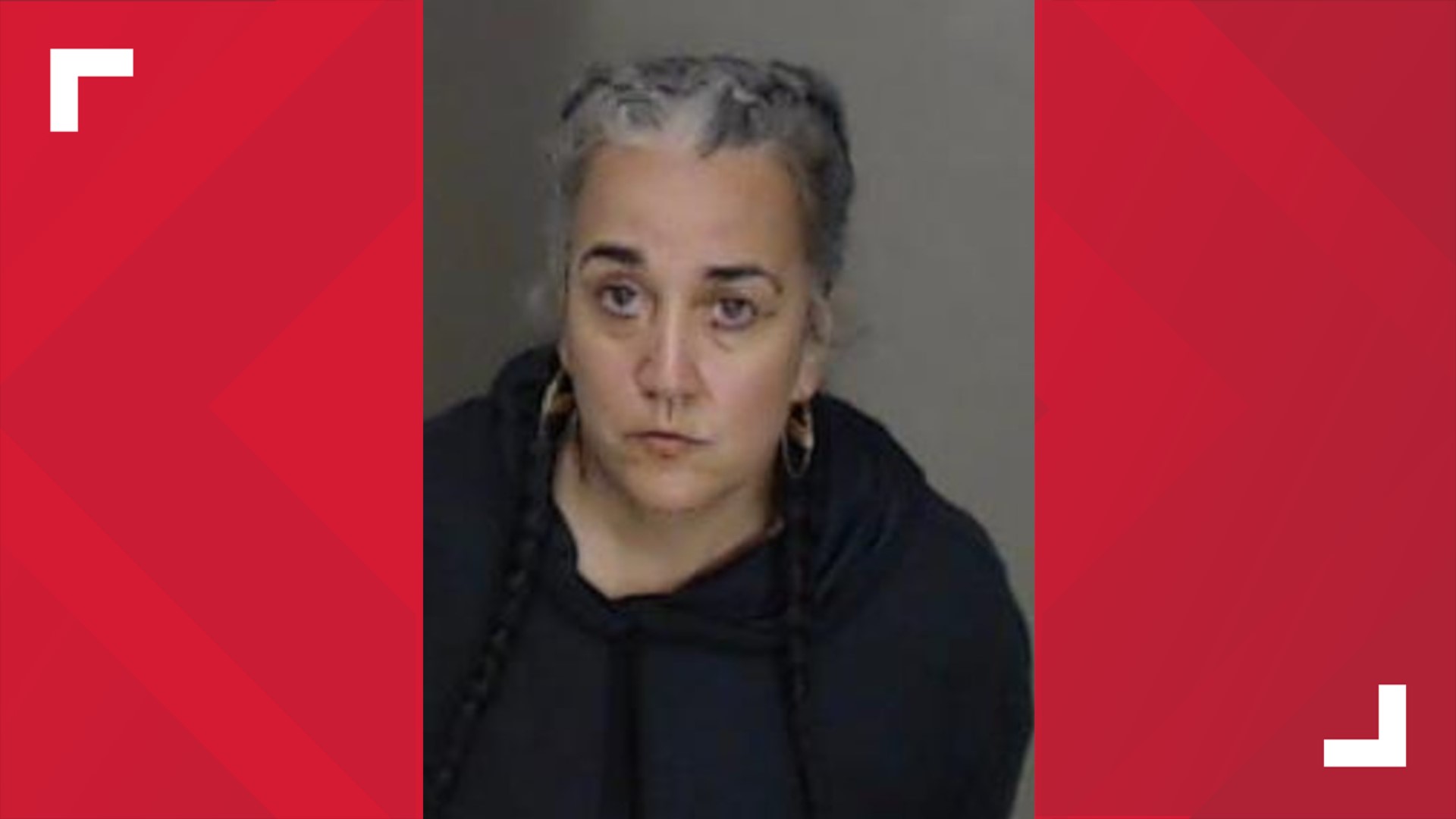 Protesters charged with domestic terrorism at training center | 11alive.com