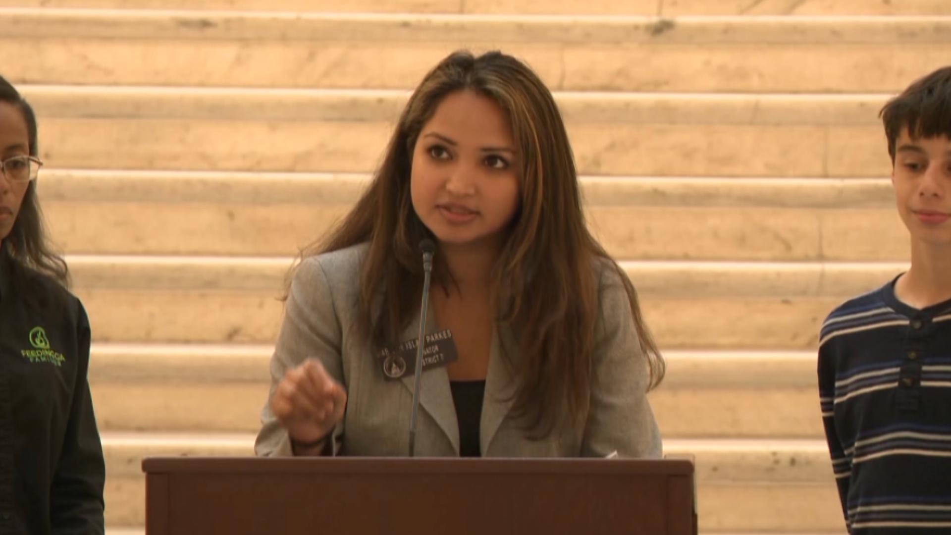 Nabiliah Rocker State and local lawmakers formulate plans, call on Georgia to act with ...