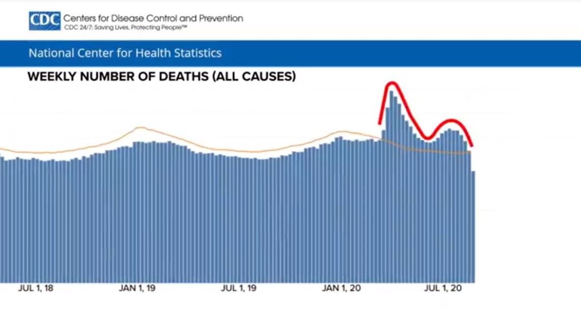 CDC projected death chart as COVID19 continues to cause spike